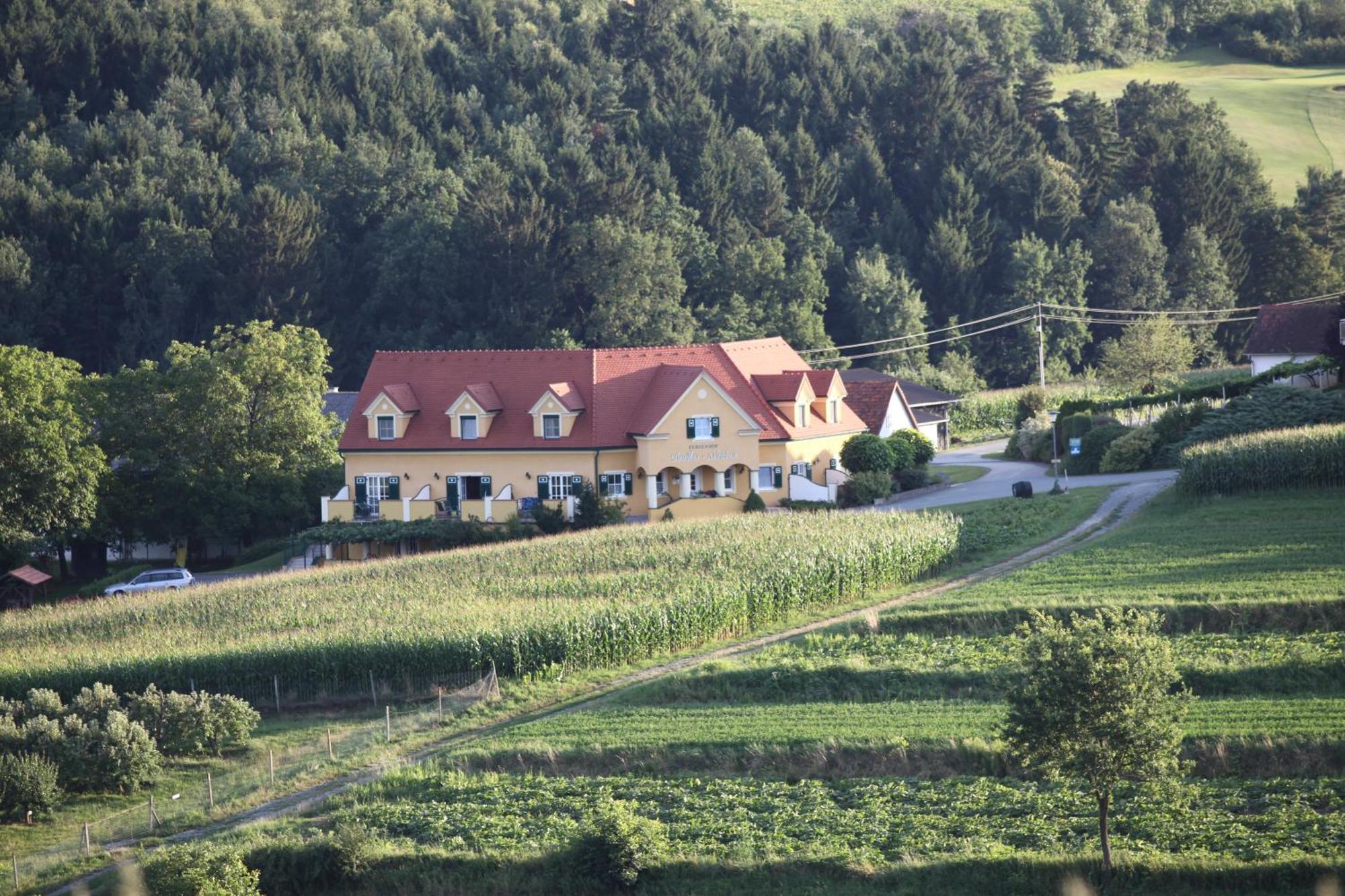 Ferienhof Uhudler-Arkaden Штёгерсбах Номер фото